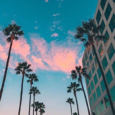 拿不動(dòng)刀的叉子