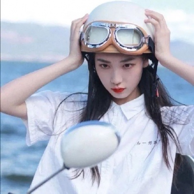 flysc